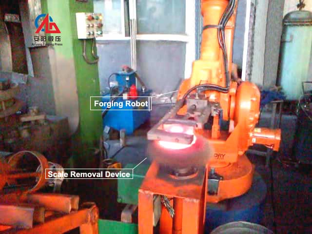 forging robot and scale removal device